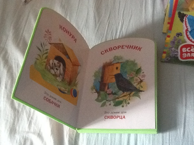 Наша библиотека (часть1)