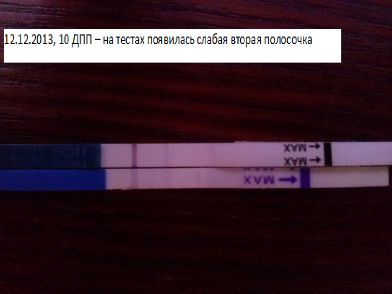 10 ДПП