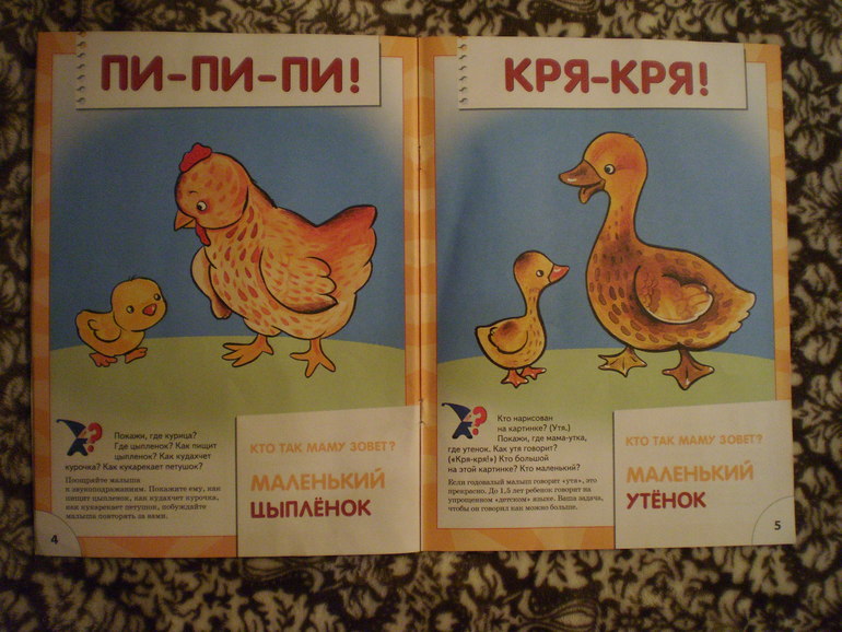 Как мы занимаемся по первой книжке