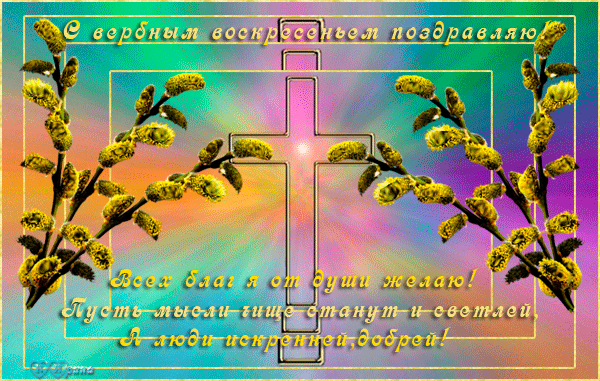 ВСЕХ С ВЕРБНЫМ ВОСКРЕСЕНЬЕМ!!!!!!!!!!!!!!