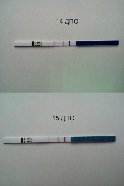 Когда сравнялись полоски?
