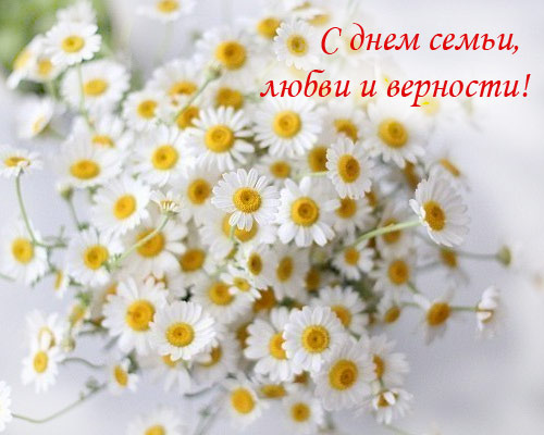 8 июля