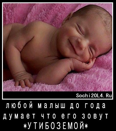 О кошках и не только...