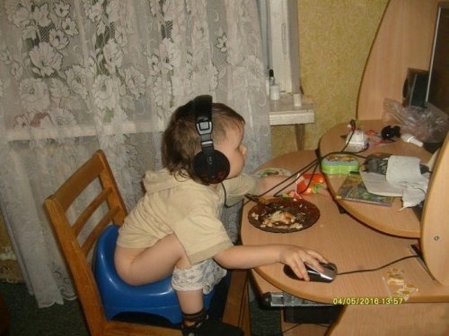 О кошках и не только...
