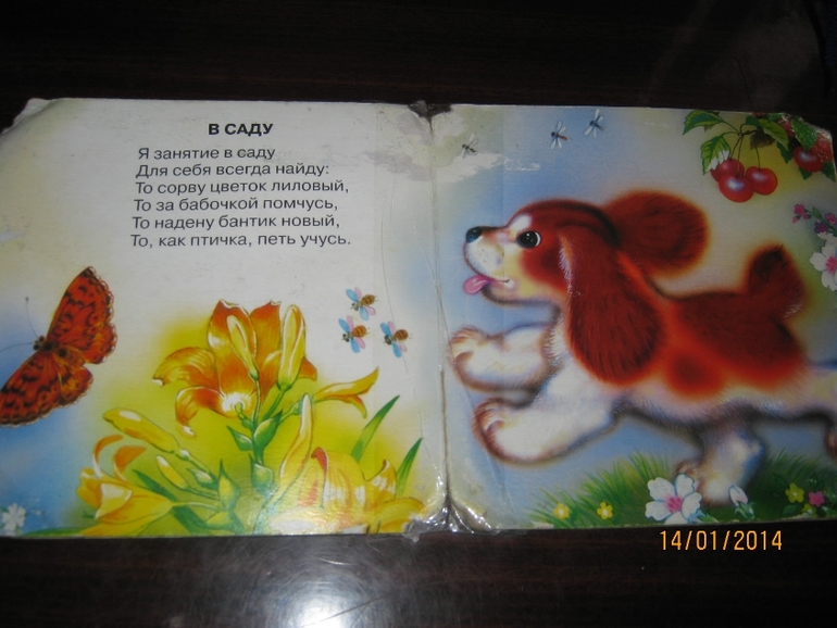 Софиюшкини книжные любимчики ( только начало)