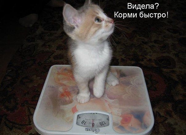 Время улыбнуться.