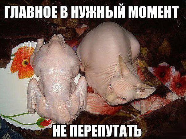 От улыбки, хмурый день светлей и даже ночь:)...