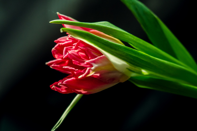 фото