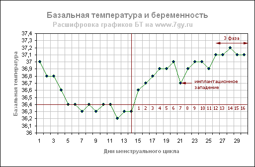 Пример для моего графика,БТ запомнила?Действуй!