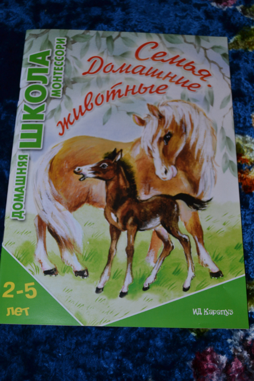 Развивающее пополнение))