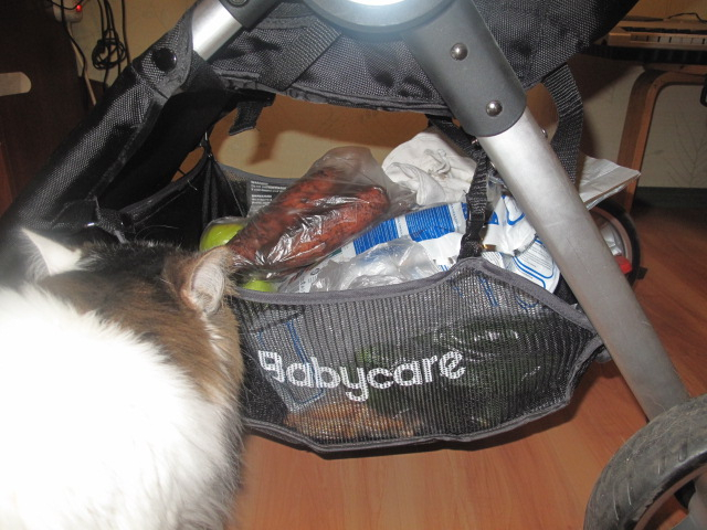 Baby Care Variant 4