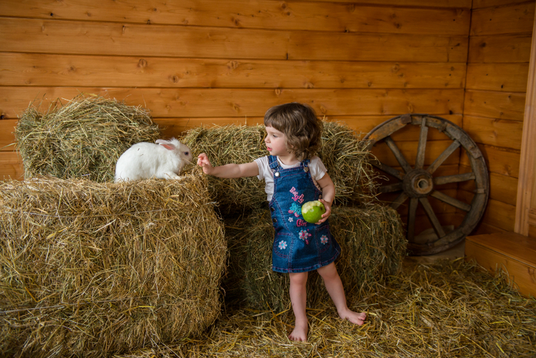 Радостное событие к 2 годам)