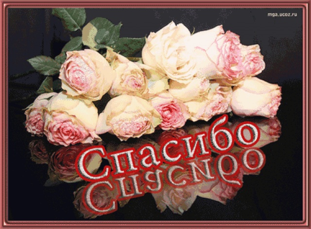 Спасибо вам, что помогаете!