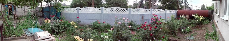 Мои клумбы