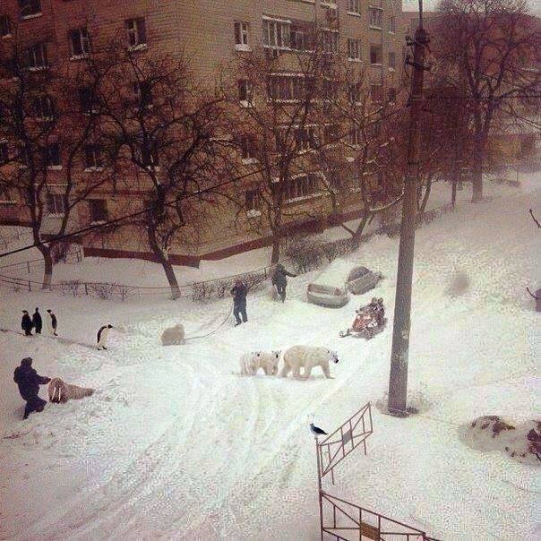 А из нашего окошка..