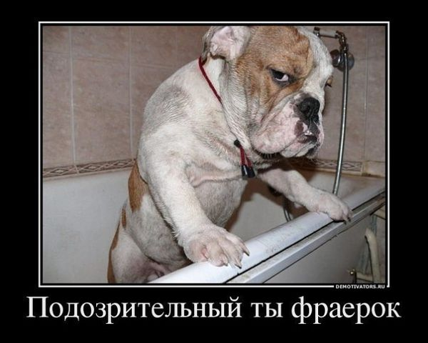 Время улыбнуться:)