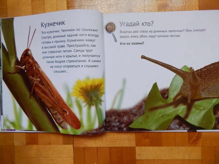 Книжка для сыночка (апрель).