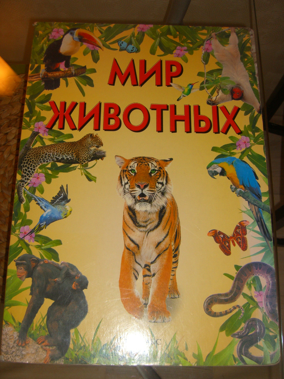 Детские книги от 6 месяцев до 5 и более лет
