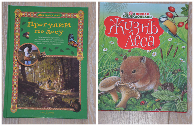 ТН Лесные животные