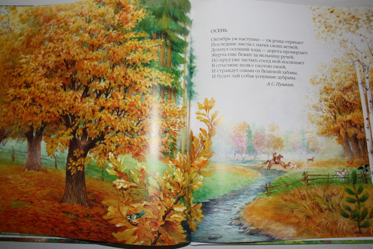 Наши книги (1 г и 8 мес)