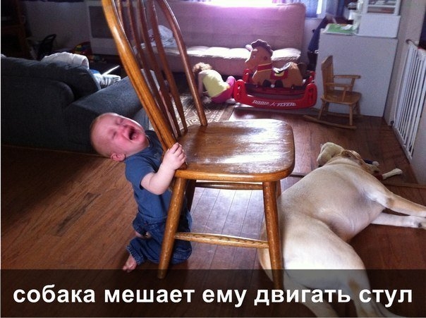 Сейчас я вам расскажу, почему плачет мой сын...