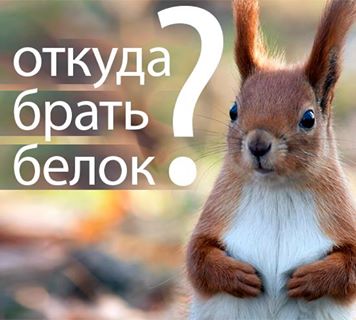 Белок. Хватает ли его вегетарианцам