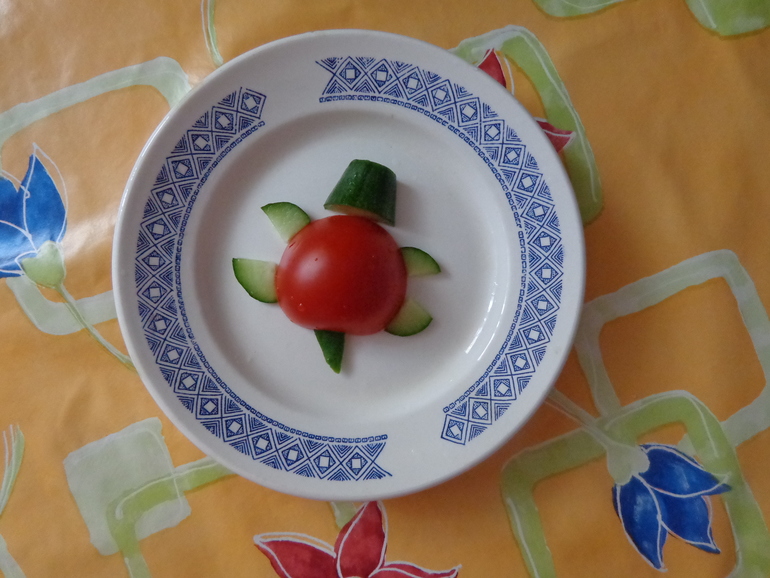 Куда ползет черепаха. Отчет