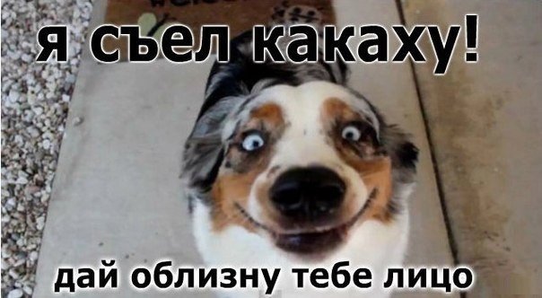 :0)