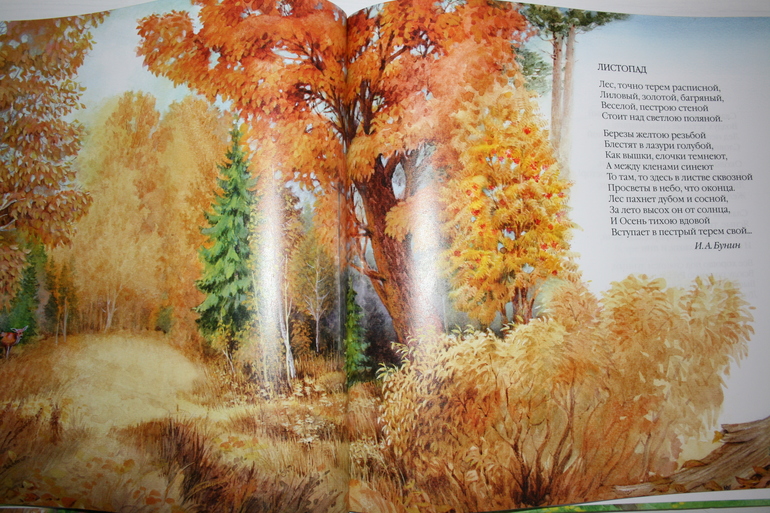 Наши книги (1 г и 8 мес)