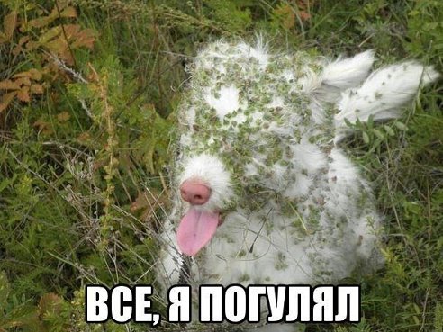 :)