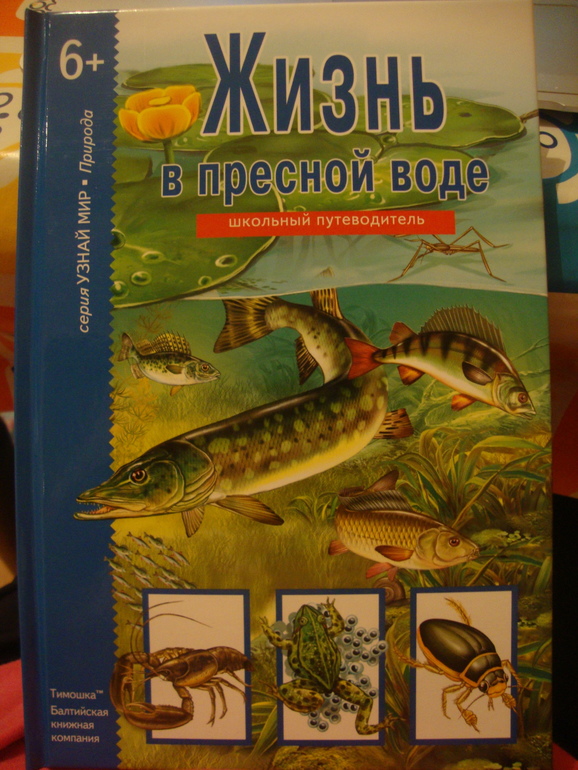 Сенсорные игры 3