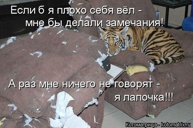 Немного позитива, перед выхами.