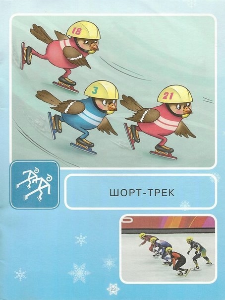 Зимние виды спорта