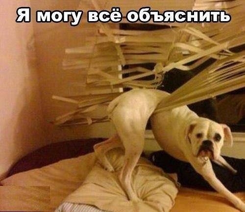 Немного позитива.