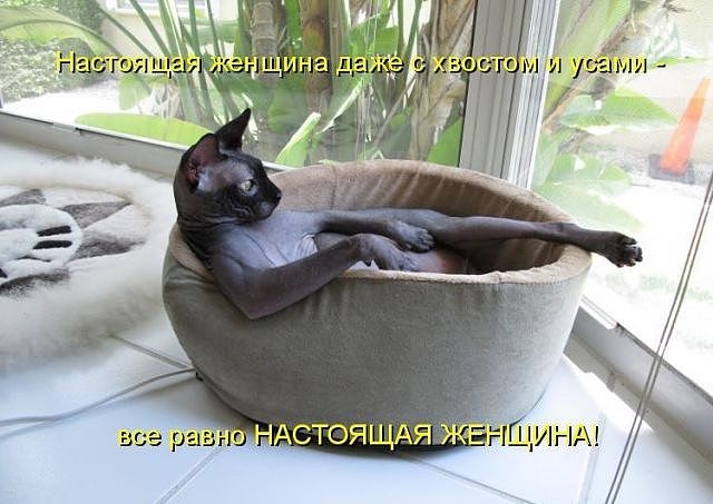 Порция пятничного позитива:)