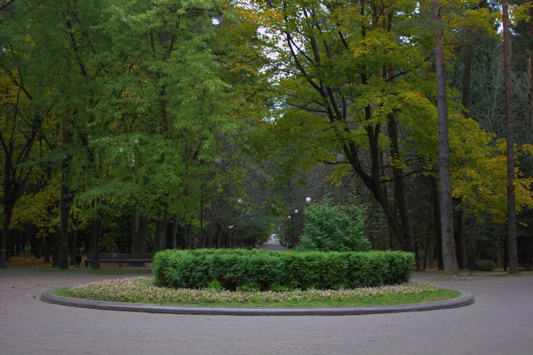 Минск. Осень 2013 г
