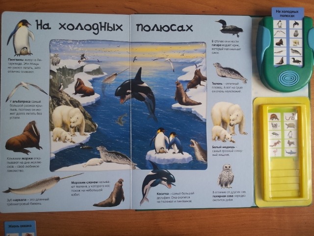 100 волшебных звуков или "Все голоса животных" в одной книге!!!!
