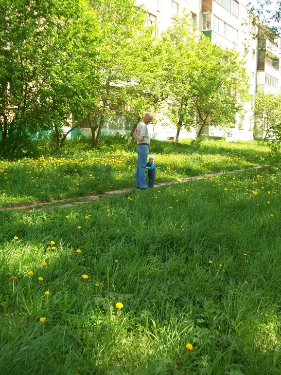 Прогулка с папой.