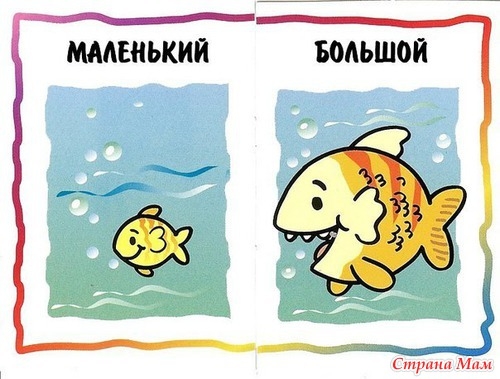 ТН