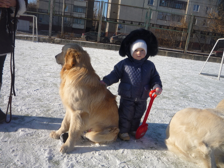 Зима-зимушка-зима.... 2011 год.