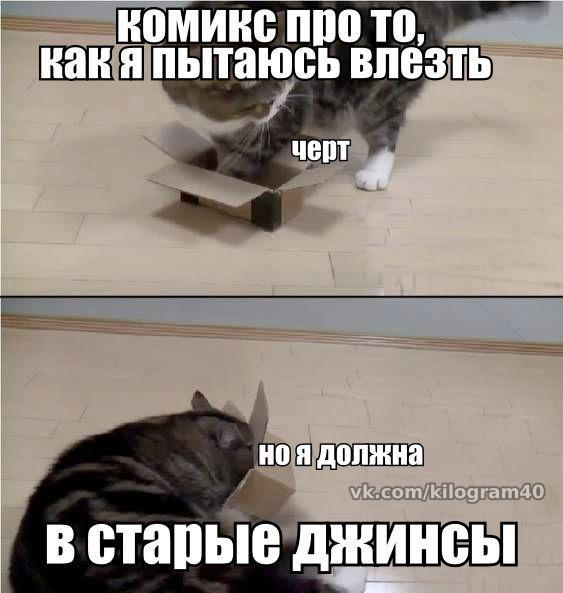 Задание 2. Причины жироотложений)