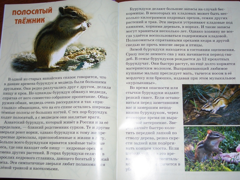 Журнал "Свирелька"