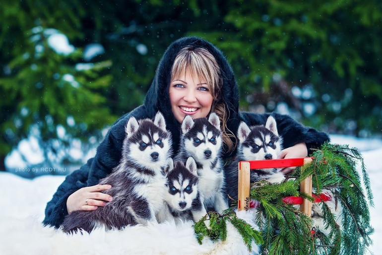 Наша зимняя сказка с хаски!!!:)