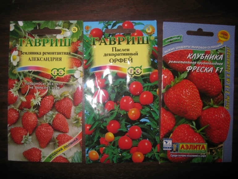 как сажать,где покупать,что посоветуете по посадке?