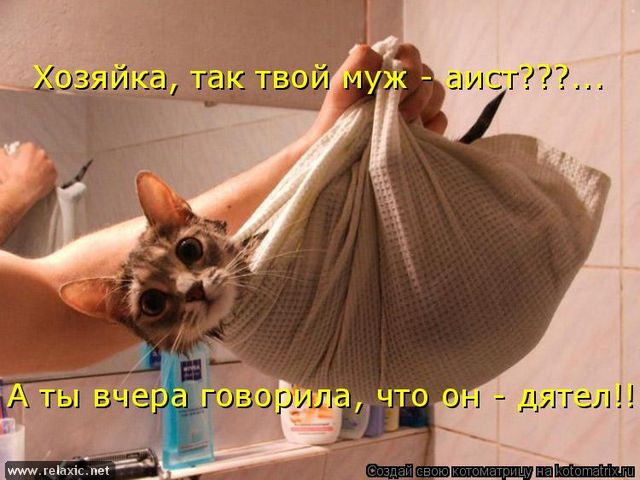 Позитивчик!!!