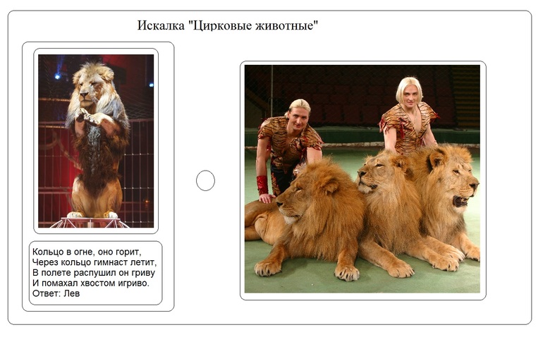 Цирк