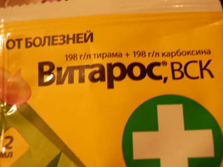Спасение Экзотического Петушка и немного моих растишек.
