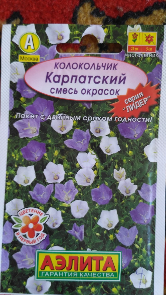 Колокольчик карпатский : выращивание из семян. Посадка и уход в открытом Важно! Колокольчик карпатский относится к видам, семена которых лучше
