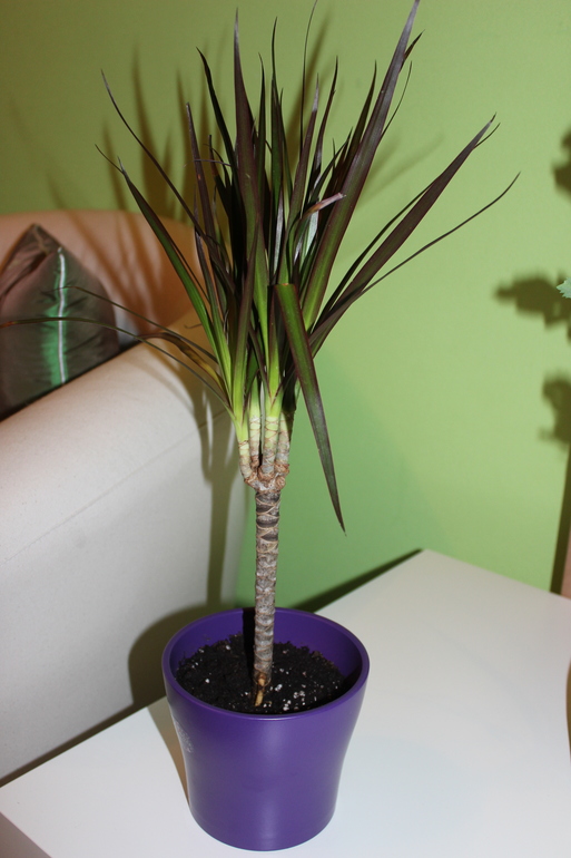 У нас прибавление)