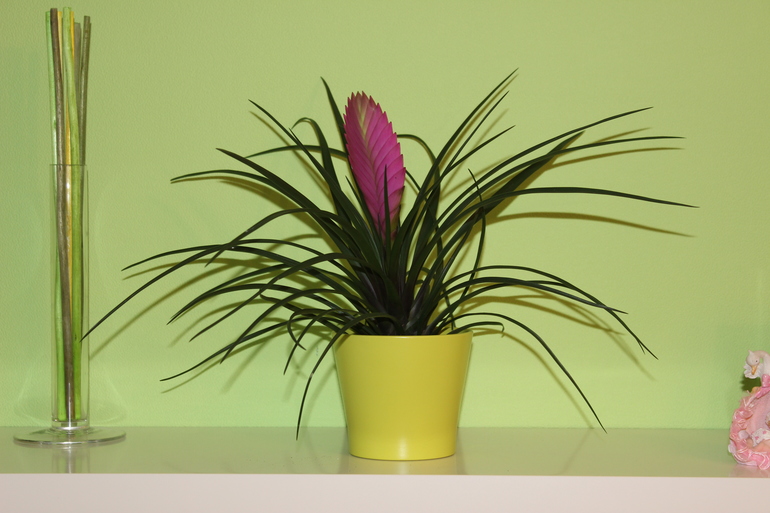 У нас прибавление)